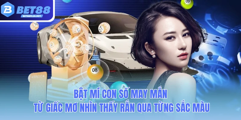 bat mi con so may man tu giac mo nhin thay ran qua tung sac mau bat mi con so may man tu giac mo nhin thay ran qua tung sac mau