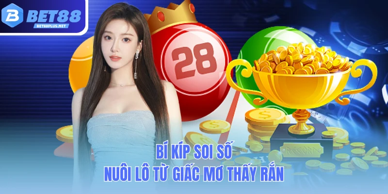 bi kip soi so nuoi lo tu giac mo thay ran bi kip soi so nuoi lo tu giac mo thay ran