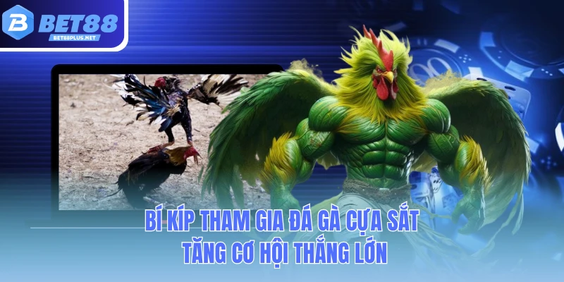 bi kip tham gia da ga cua sat tang co hoi thang lon