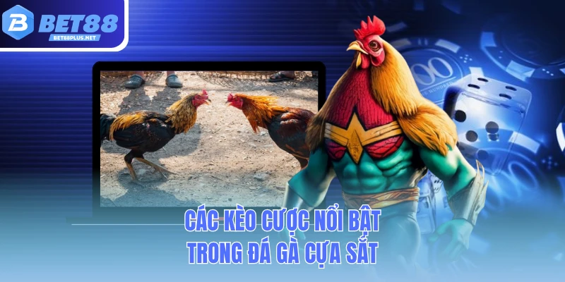 cac keo cuoc noi bat trong da ga cua sat