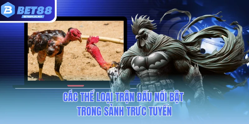 cac the loai tran dau noi bat trong sanh truc tuyen cac the loai tran dau noi bat trong sanh truc tuyen