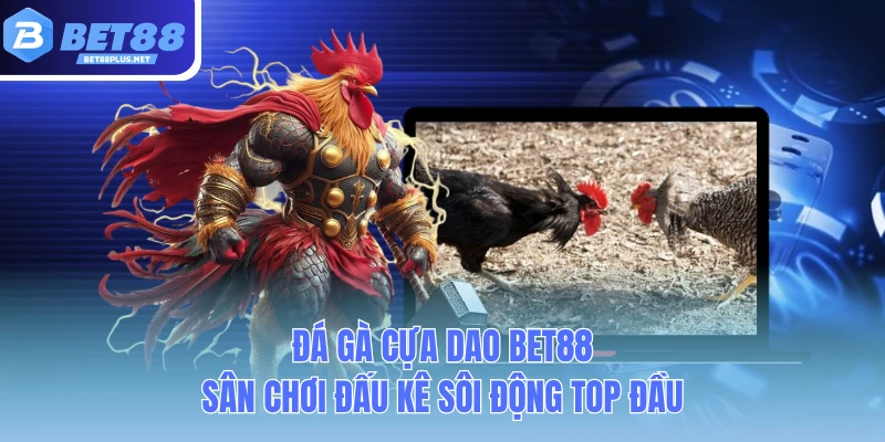 da ga cua dao bet88 san choi dau ke soi dong top dau