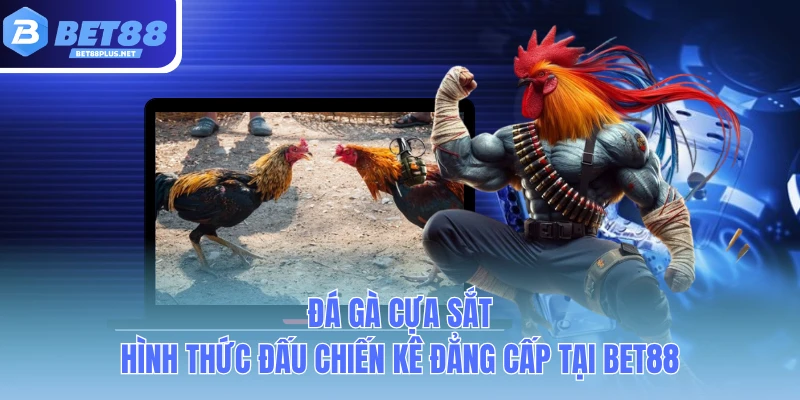 da ga cua sat hinh thuc dau chien ke dang cap tai bet88