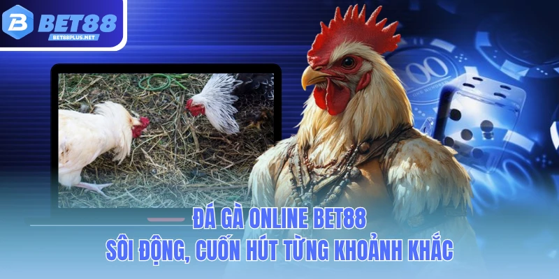 da ga online bet88 soi dong cuon hut tung khoanh khac