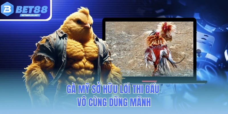 ga my so huu loi thi dau vo cung dung manh ga my so huu loi thi dau vo cung dung manh