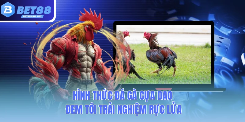 hinh thuc da ga cua dao dem toi trai nghiem ruc lua hinh thuc da ga cua dao dem toi trai nghiem ruc lua